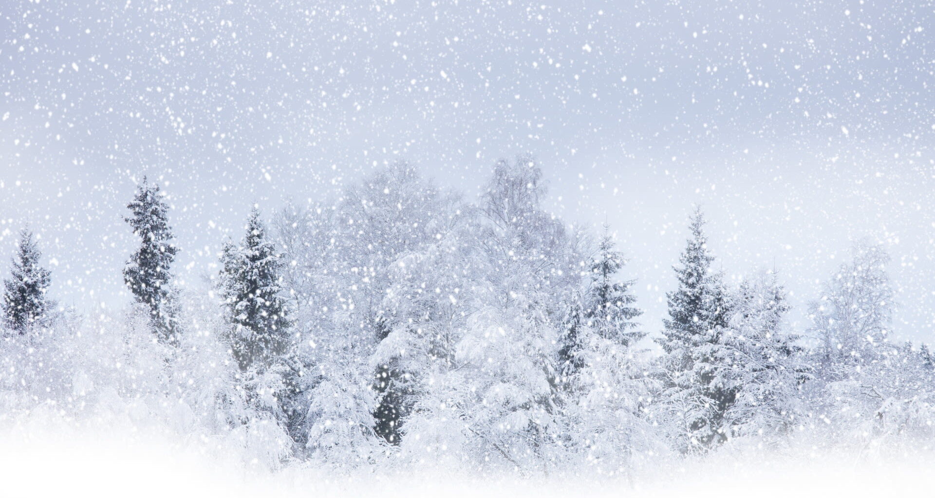 Tomorrow's Weather Edmonton (Feb 18): Snowfall Warning, Bitter Cold