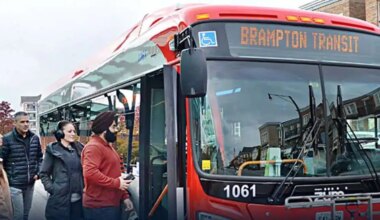 brampton bus transit zum route
