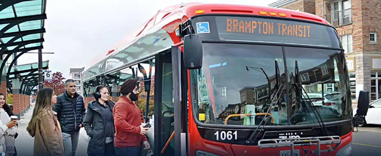 brampton bus transit zum route