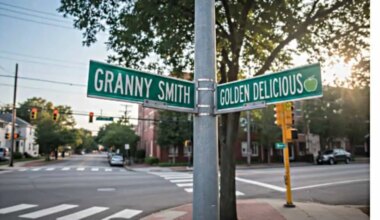 street names apple orchard Brampton