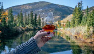 'Guilty before proven innocent': Calgary distillery submits appeal to lift liquor detention order