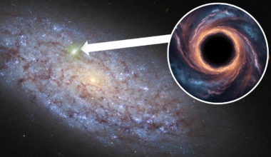 An illustration shows a wandering black hole and its home, a shining off center AGN in a dwarf galaxy