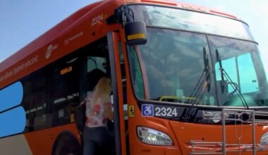 transit bus service improves in mississauga.