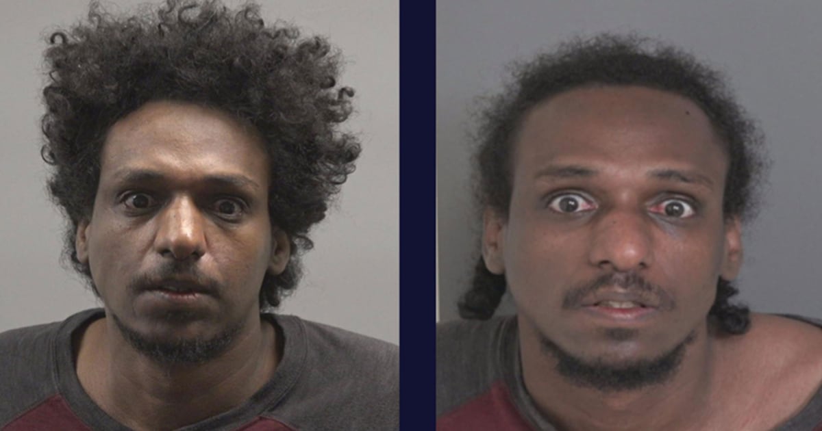 High-risk sex offender rearrested within two hours of latest release - CTV News