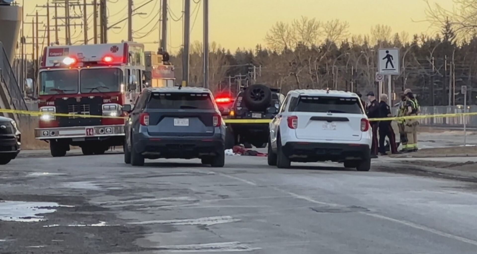 2-year-old dies in SW Calgary pedestrian collision: police