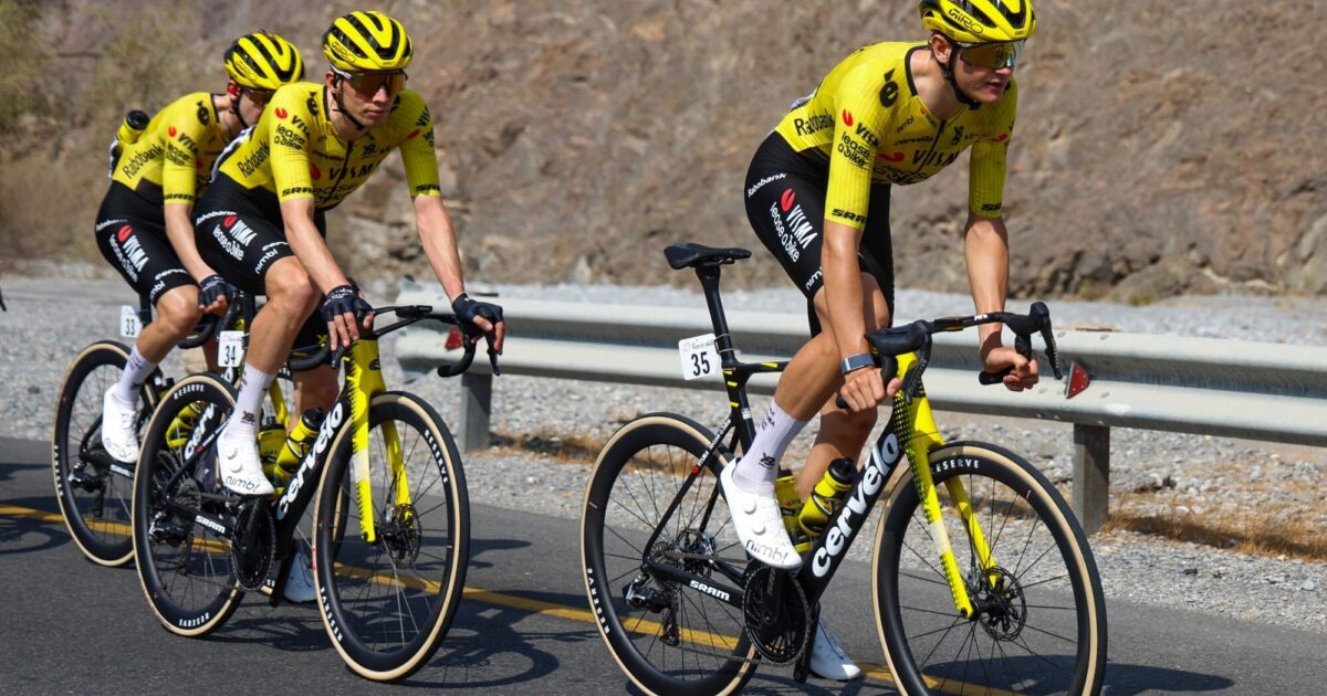 Team Visma | Lease a Bike