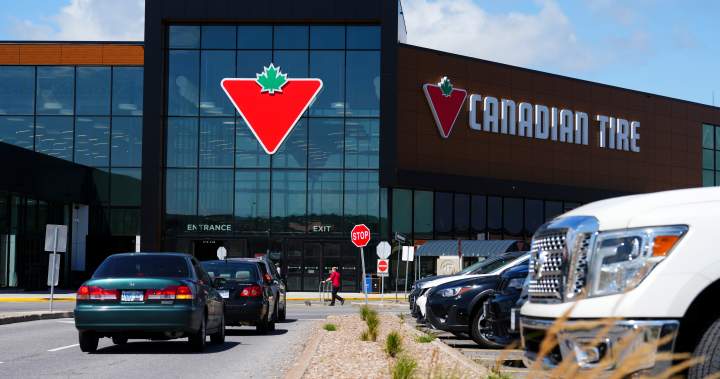 Canadian Tire says Triangle Rewards are its ‘linchpin’ for growth - National
