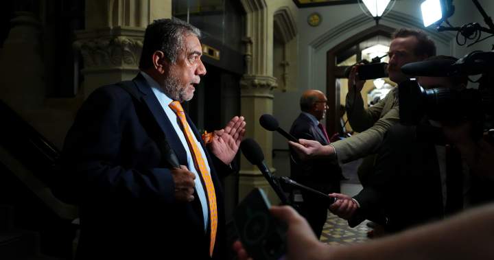 Liberal MP denounces official who claimed India ceased foreign interference against Canada