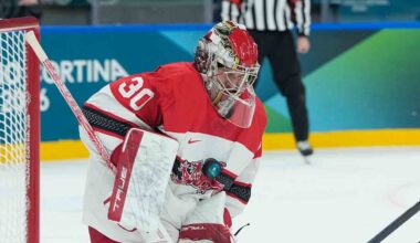 Denmark's Mads Sogaard exits vs. U.S. with apparent injury
