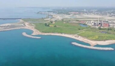 native trees taken root at new conservation area in mississauga.