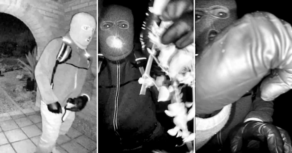 Suspect detained for questioning in the disappearance of Nancy Guthrie, AP sources say - CP24