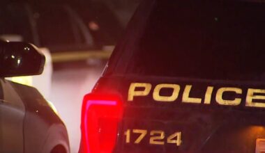 Man in NW home where shots were fired arrested: Calgary police