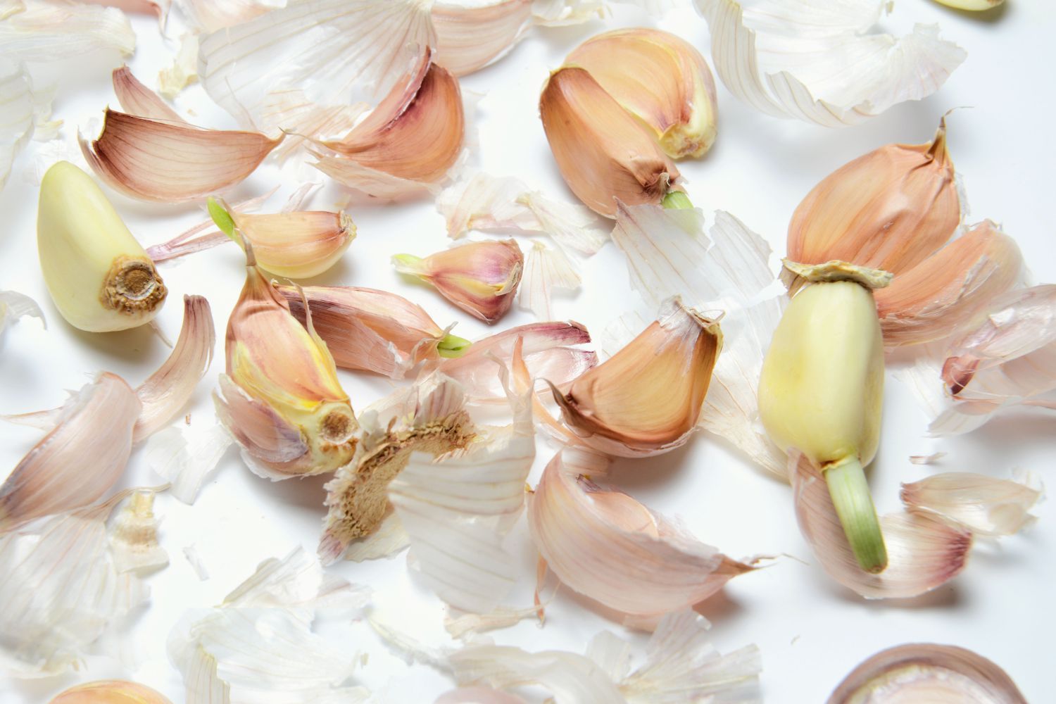 Can You Eat Sprouted Garlic? Here’s What a Professional Chef Says