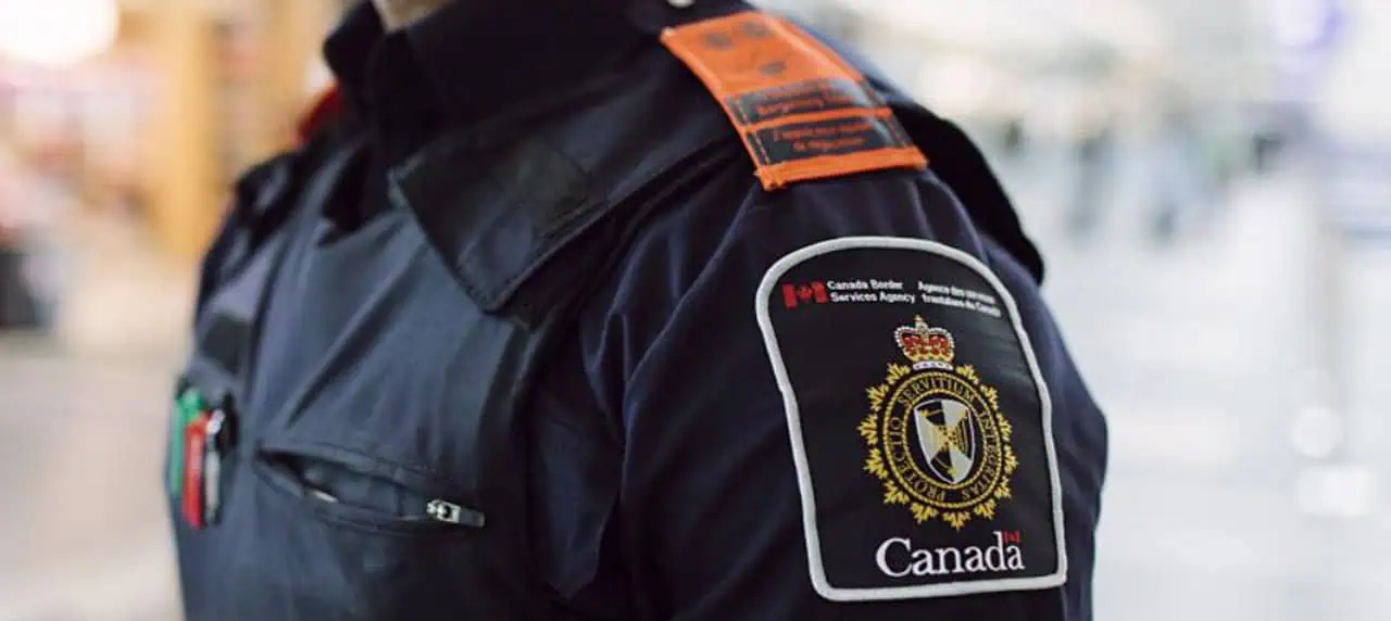 Extortion crime wave could spread 'to every city in Canada' without border bill changes, Brampton Mayor Brown says