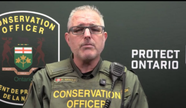 Mississauga man fined for shooting a moose without a tag