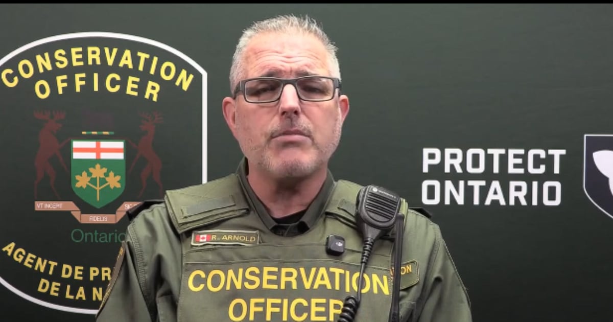 Mississauga man fined for shooting a moose without a tag