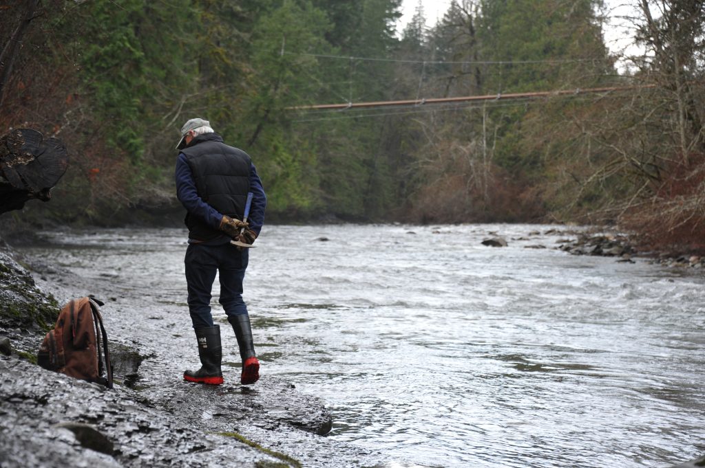 A man walks along a river bank with his back to the camera and hands clasped behind his back.