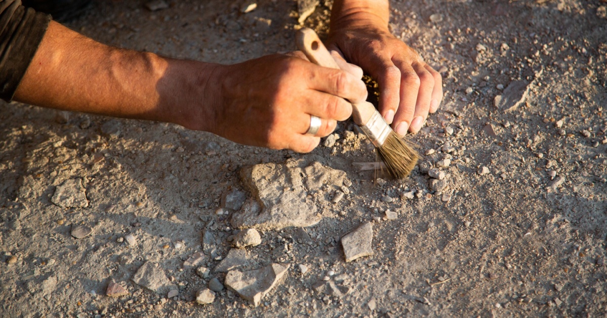 Grocery store employee working in the produce section