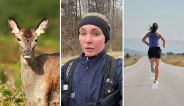 doe on the roadside (l) woman shares running experience (c) woman running on the road (r)