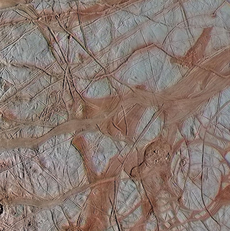 Many criss-crossing reddish bands and cracks on lighter-colored surface.