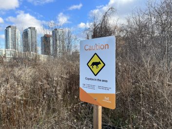 Coyote signage at local Mississauga park