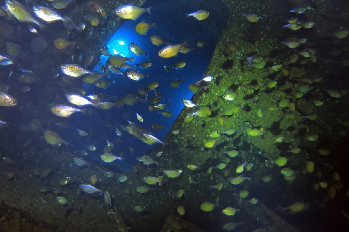 Thistlegorm shipwreck in the Red Sea