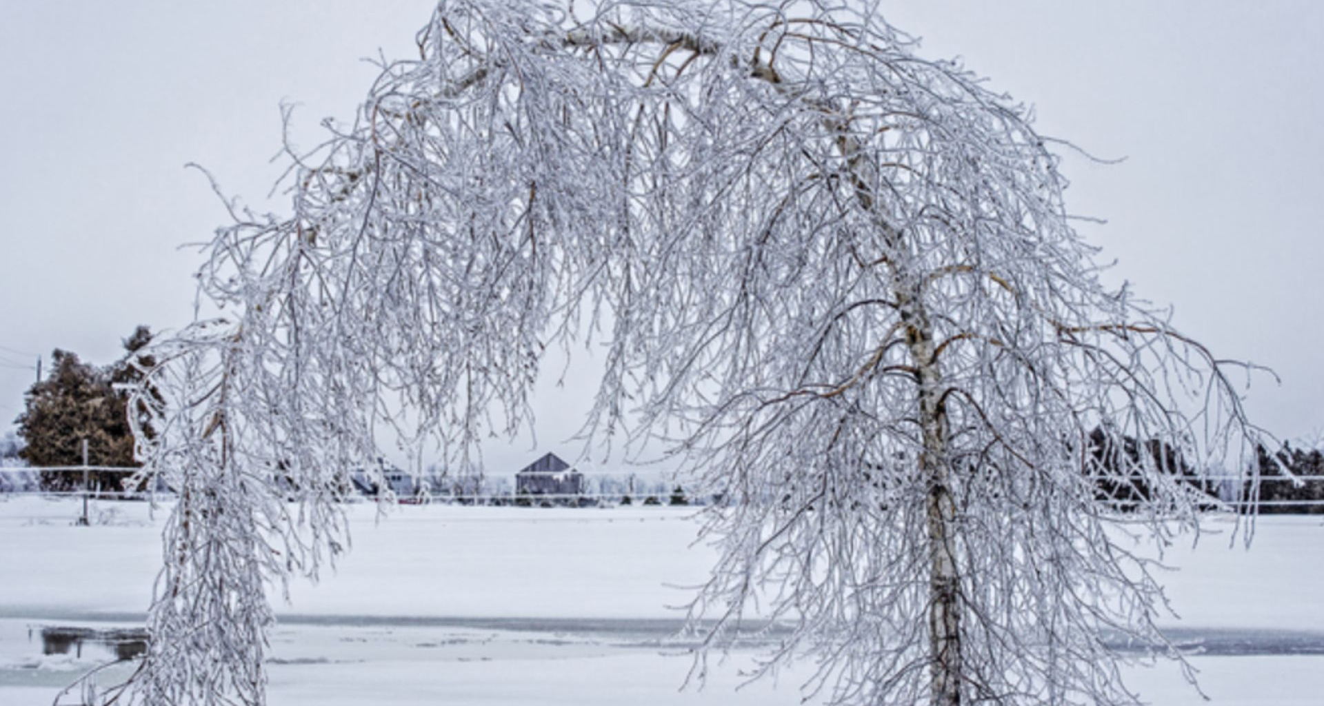 Tomorrow's Weather Winnipeg (Mar 01): Frigid Cold, Clear Skies