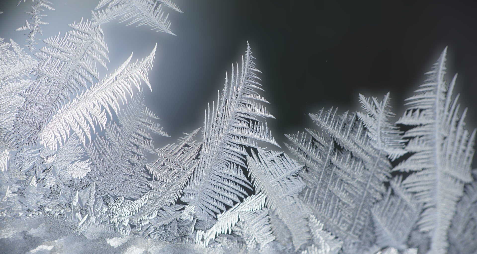 Tomorrow's Weather Montréal (Feb 23): Cold, Cloudy Skies Persist