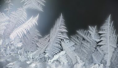 Tomorrow's Weather Montréal (Feb 23): Cold, Cloudy Skies Persist