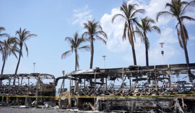 Politics Insider: Ottawa rules out sending evacuation flights to Mexico