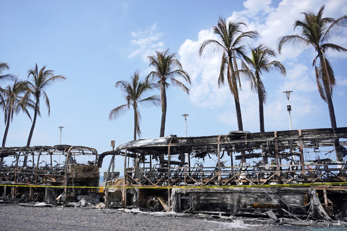 Politics Insider: Ottawa rules out sending evacuation flights to Mexico