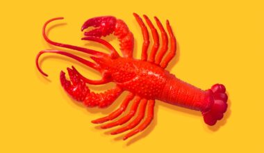 After all the hype, some AI experts don't think OpenClaw is all that exciting