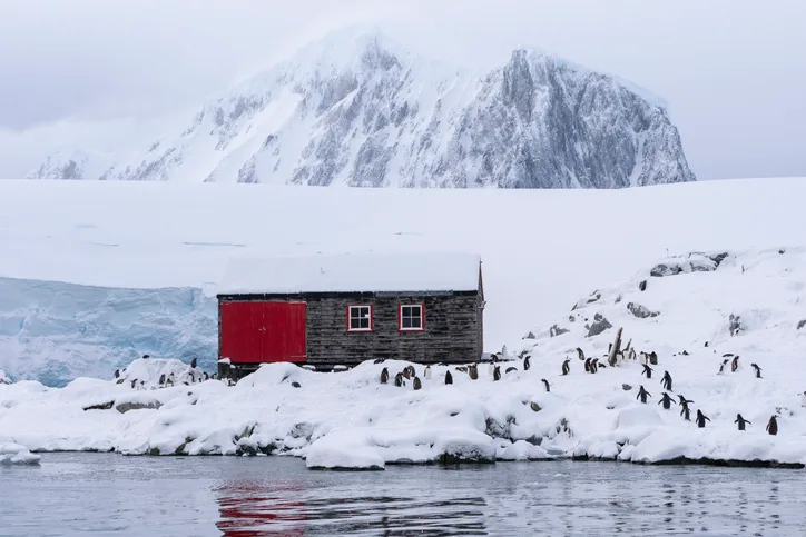 Antarctic hut and penguins