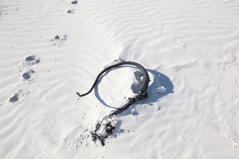 A curved, blackened stick or piece of debris is partially buried in white sand, surrounded by footprints and rippled sand patterns under bright sunlight.