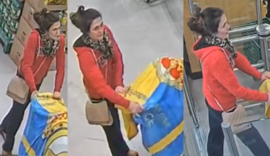 Woman uses baby stroller to steal items from store, police allege