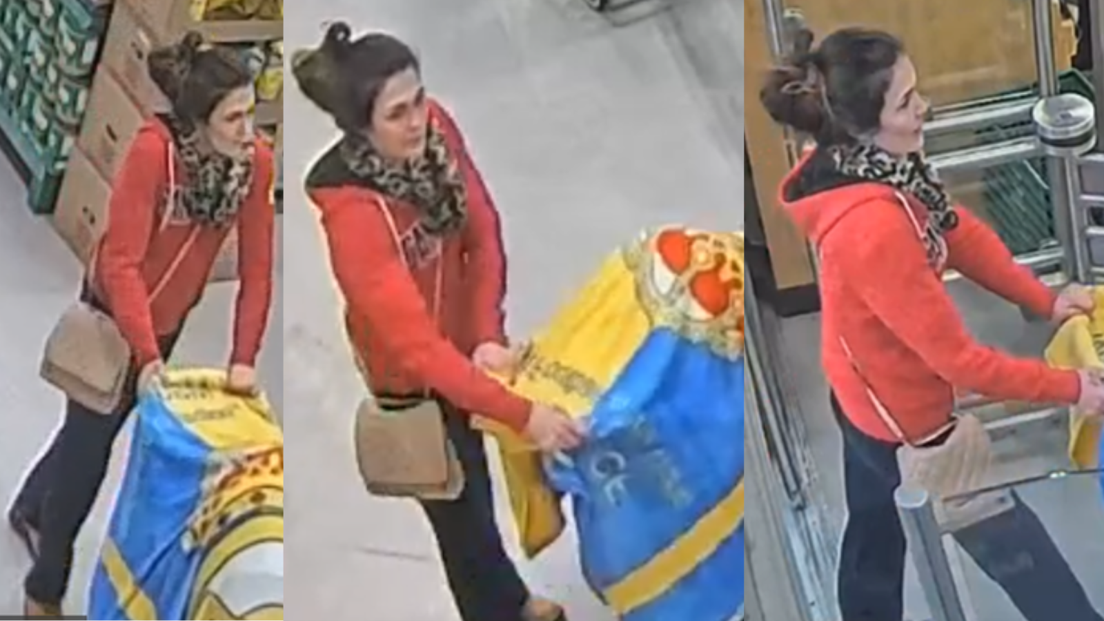 Woman uses baby stroller to steal items from store, police allege