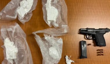 gun arrests in mississauga and toronto.