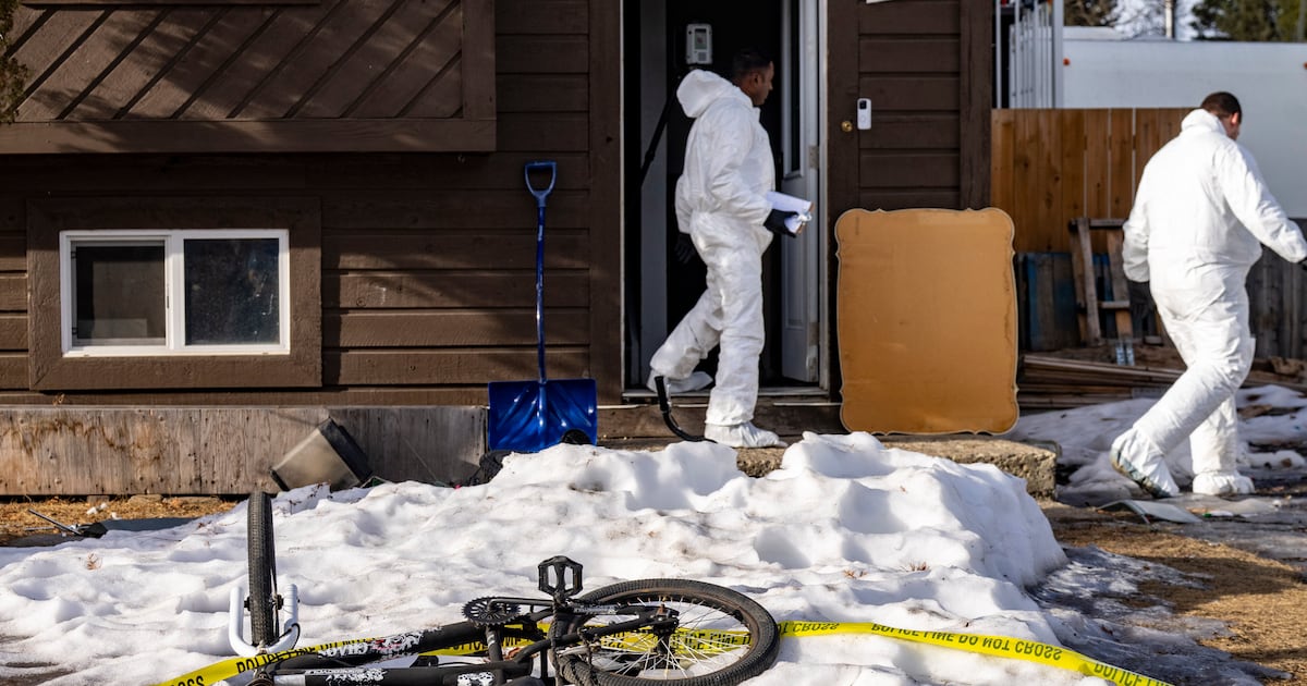 Misinformation experts warn of dire consequences in online hunt for blame