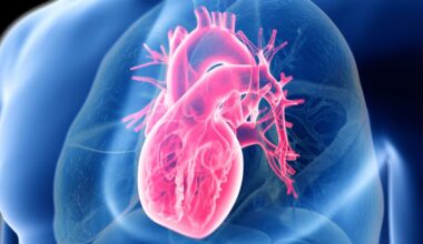 Giant Study Reveals The Secret to Heart Health, And It's Not Low-Carb or Low-Fat : ScienceAlert