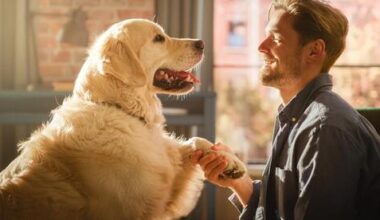 Spain’s inheritance trend comes with strict conditions