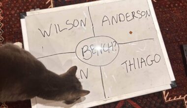 How my cat became a Fantasy Premier League genius