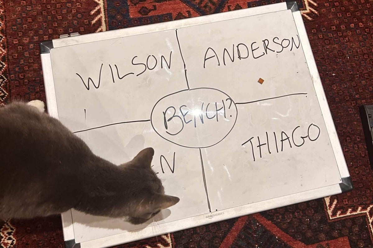 How my cat became a Fantasy Premier League genius