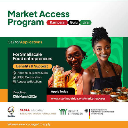 Call for Applications: StartHub Africa Market Access Program 2026 (12-Month