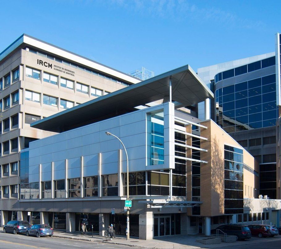 IRCM sheds light on eye and brain development