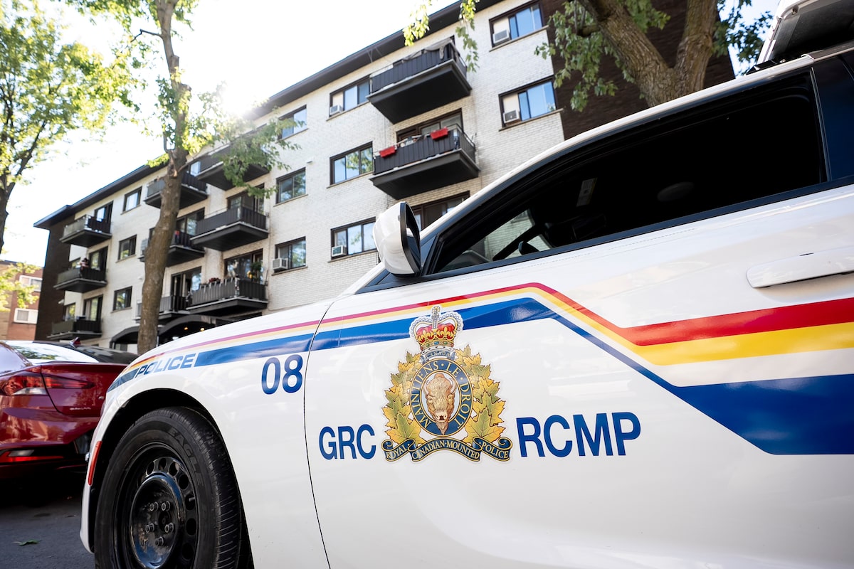 Organized crime groups targeting police data across Canada, report says