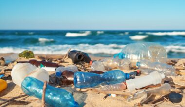 Viewpont: The hidden world of nanoplastics colliding with neurodegenerative diseases. Image Credit: Maryshot / Shutterstock