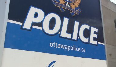 Brampton woman charged following theft at Bayshore