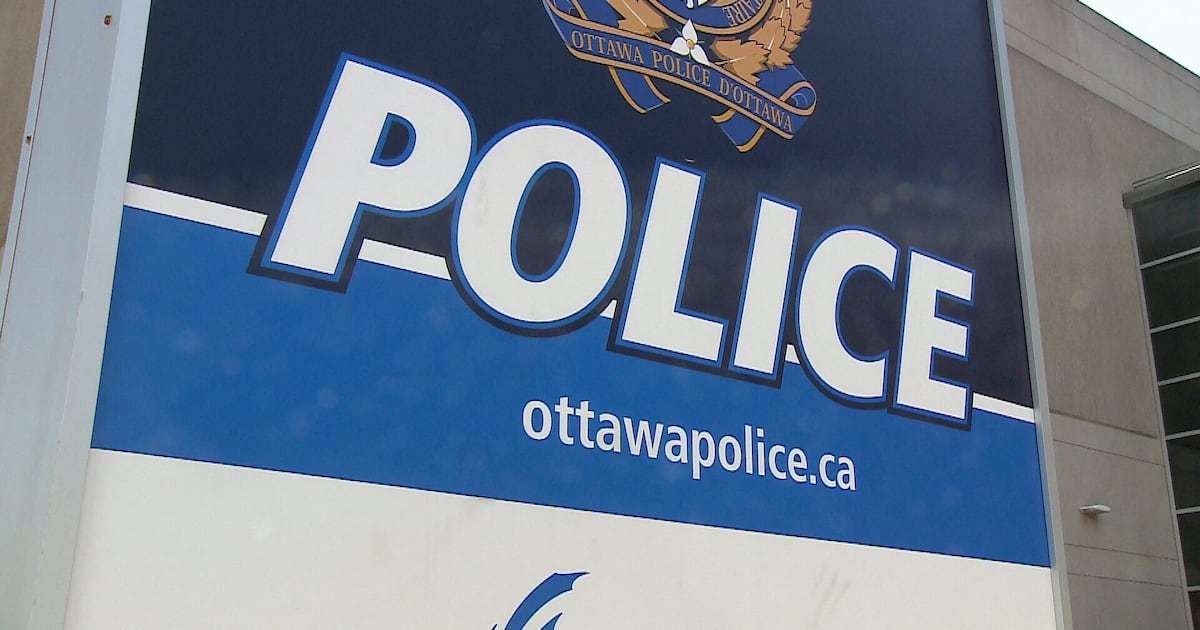 Brampton woman charged following theft at Bayshore