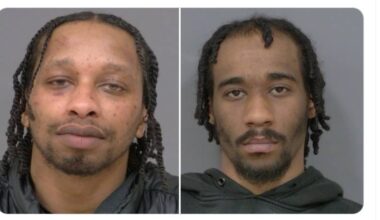 gun brampton police peel