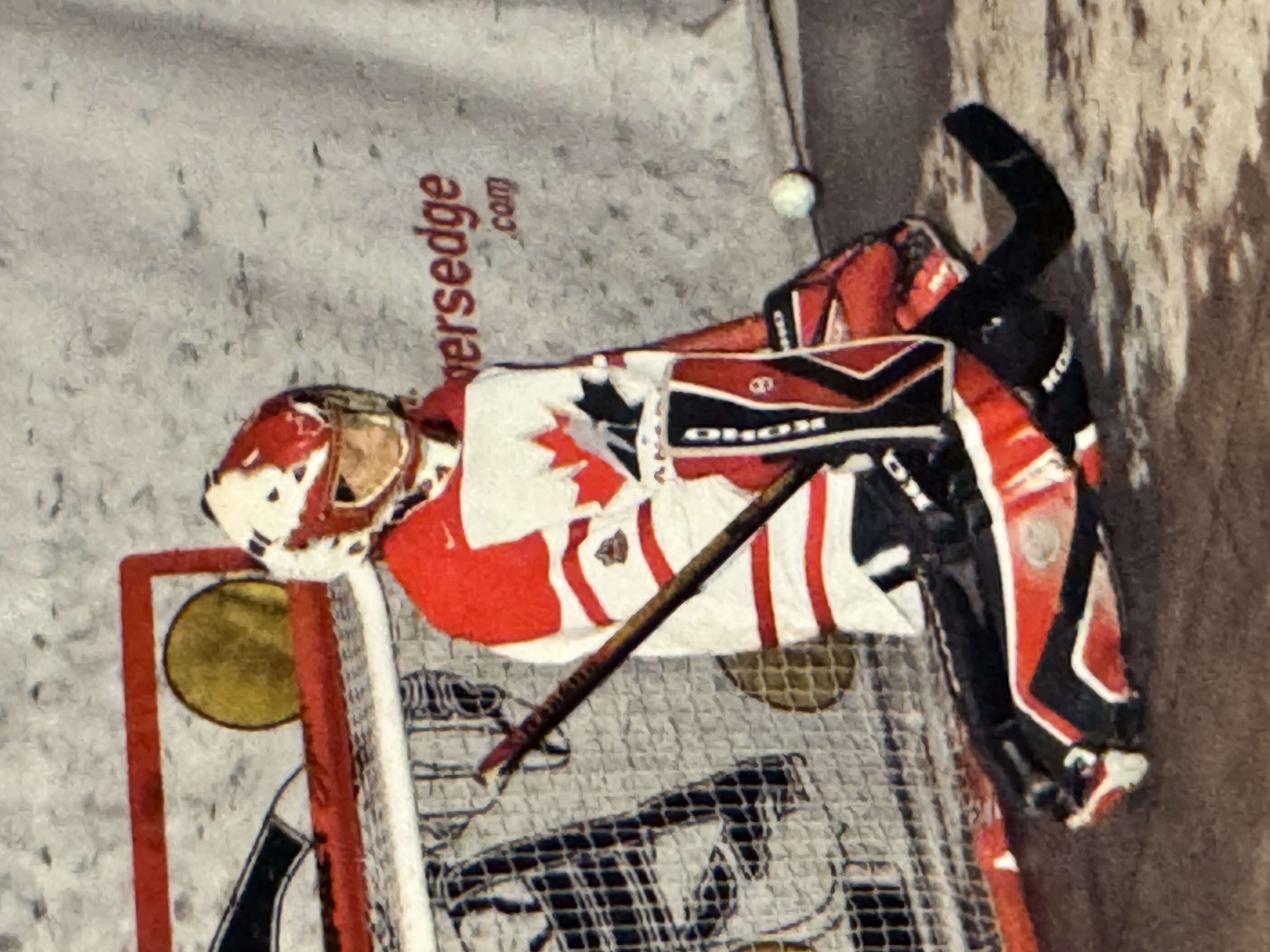 Before Thomas Harley was an NHL defenseman, he initially wanted to play goalie. His father Brian played the position for the University of Alberta.